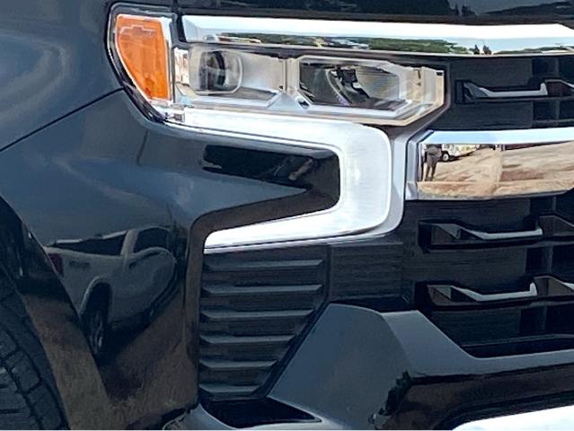 2025 Chevrolet Silverado 1500 Vehicle Photo in SAVANNAH, GA 31406-4513