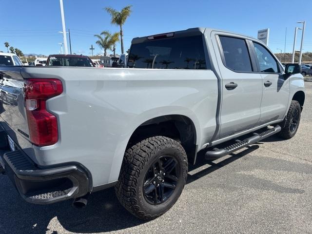 2024 Chevrolet Silverado 1500 Vehicle Photo in VENTURA, CA 93003-8585