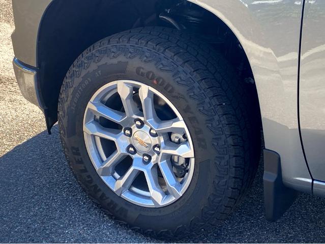 2025 Chevrolet Silverado 1500 Vehicle Photo in SAVANNAH, GA 31406-4513