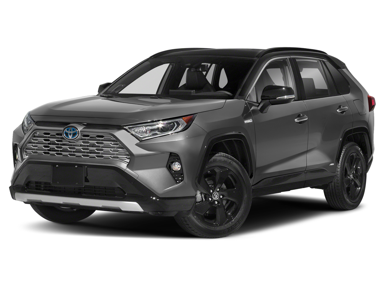 2019 Toyota RAV4 Vehicle Photo in Green Bay, WI 54304