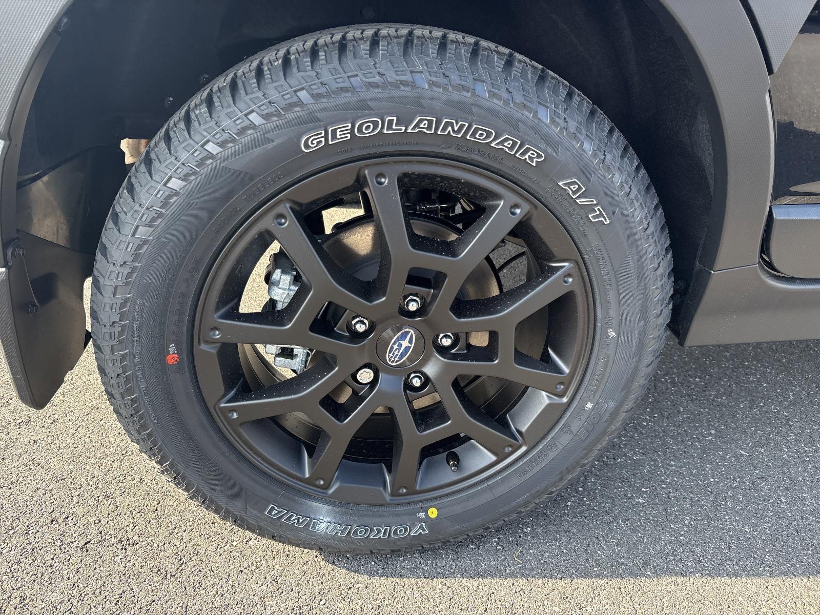 2025 Subaru Crosstrek Vehicle Photo in Mechanicsburg, PA 17050