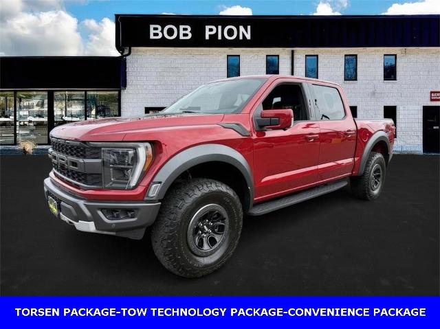 2022 Ford F-150 Vehicle Photo in CHICOPEE, MA 01020-5001