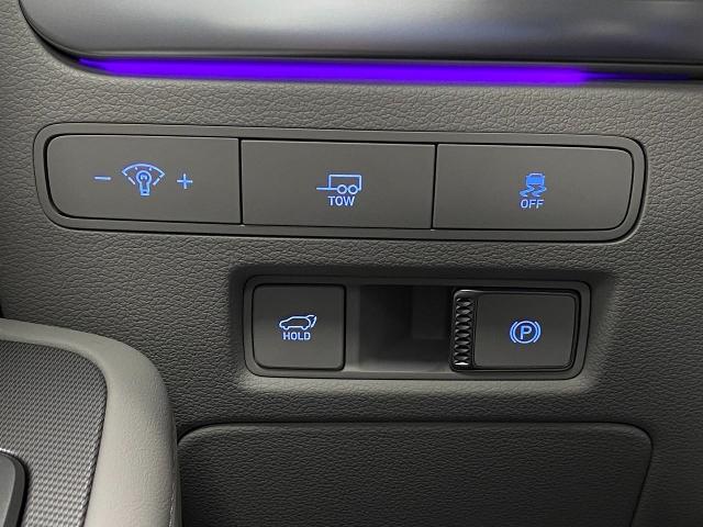 2025 Hyundai PALISADE Vehicle Photo in Appleton, WI 54913