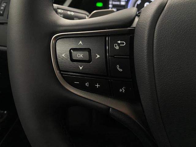 2025 Lexus ES 300h Vehicle Photo in Appleton, WI 54913