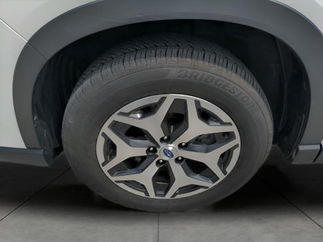 2023 Subaru Forester Vehicle Photo in Green Bay, WI 54304