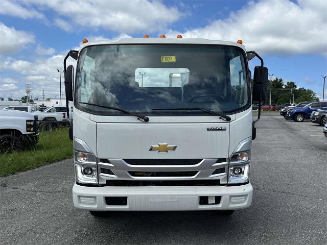 2024 Chevrolet Low Cab Forward 5500 HG Vehicle Photo in ALCOA, TN 37701-3235