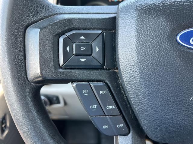 2019 Ford F-150 Vehicle Photo in Brunswick, GA 31525