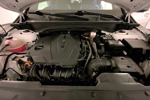 2023 Kia Sportage Vehicle Photo in Lees Summit, MO 64086