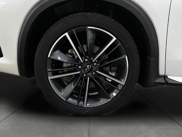2025 INFINITI QX50 Vehicle Photo in Appleton, WI 54913