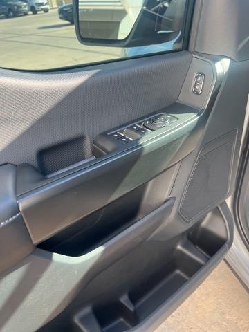 2024 Ford F-150 Vehicle Photo in Winslow, AZ 86047-2439