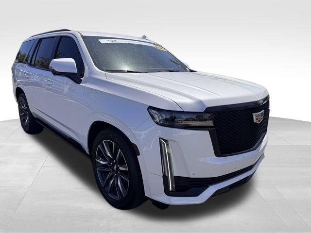 2022 Cadillac Escalade Vehicle Photo in DELRAY BEACH, FL 33483-3294