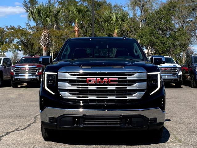 2025 GMC Sierra 1500 Vehicle Photo in BEAUFORT, SC 29906-4218