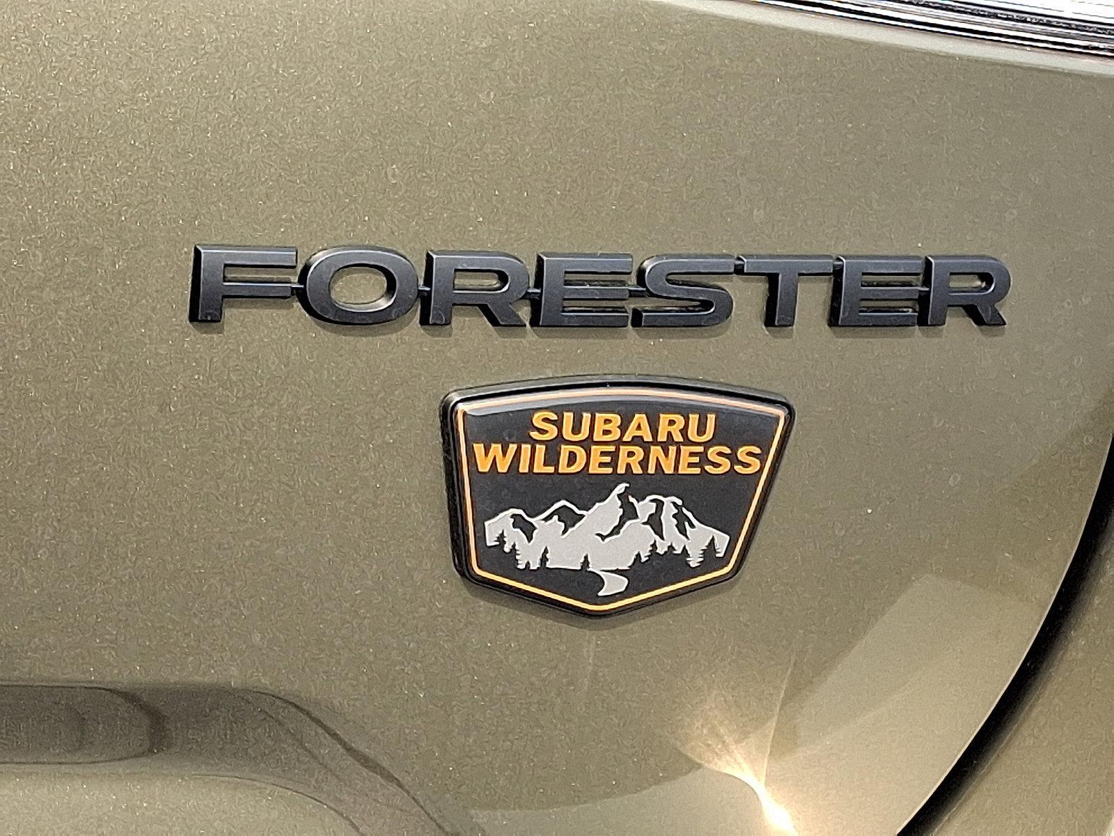 2025 Subaru Forester Vehicle Photo in Easton, PA 18045
