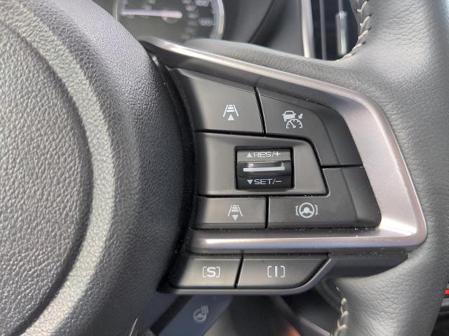 2023 Subaru Forester Vehicle Photo in Green Bay, WI 54304