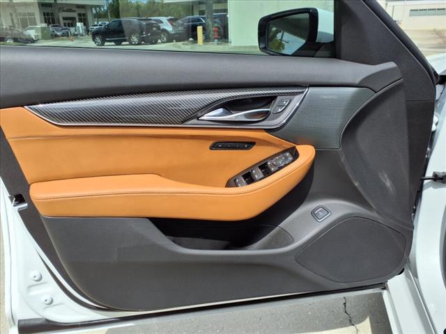 2025 Cadillac CT5 Vehicle Photo in TAMPA, FL 33612-3404