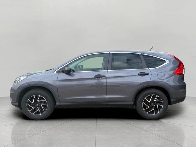 2016 Honda CR-V Vehicle Photo in Appleton, WI 54914