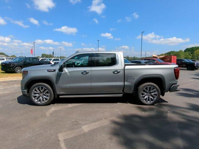 2025 GMC Sierra 1500 Vehicle Photo in ALBERTVILLE, AL 35950-0246