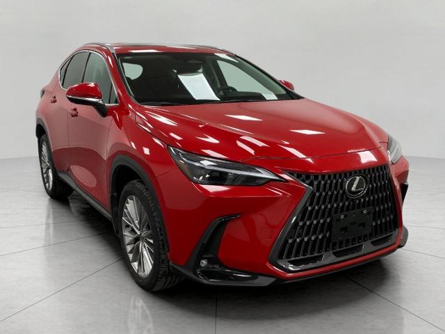 2024 Lexus NX 350 Vehicle Photo in Appleton, WI 54913