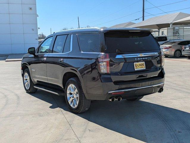 2024 Chevrolet Tahoe Vehicle Photo in SELMA, TX 78154-1460