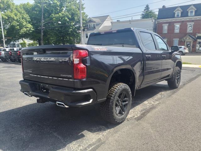 2024 Chevrolet Silverado 1500 Vehicle Photo in INDIANA, PA 15701-1897