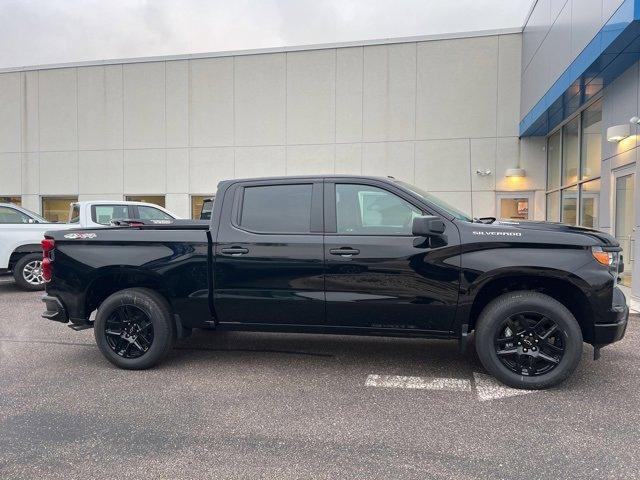 2025 Chevrolet Silverado 1500 Vehicle Photo in SAUK CITY, WI 53583-1301