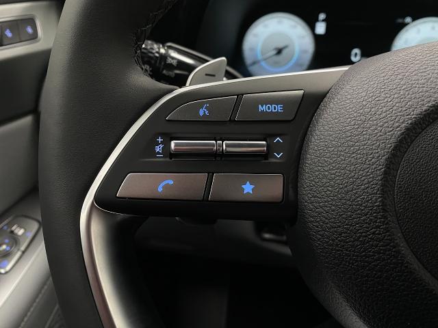 2025 Hyundai PALISADE Vehicle Photo in Appleton, WI 54913