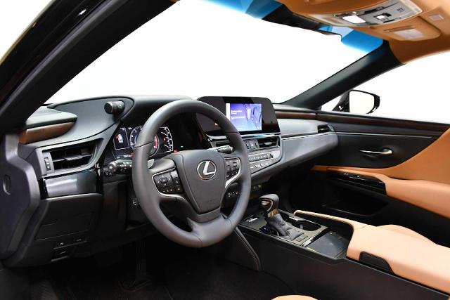 2024 Lexus ES 250 Vehicle Photo in DALLAS, TX 75235