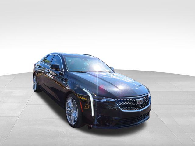 2022 Cadillac CT4 Vehicle Photo in DELRAY BEACH, FL 33483-3294