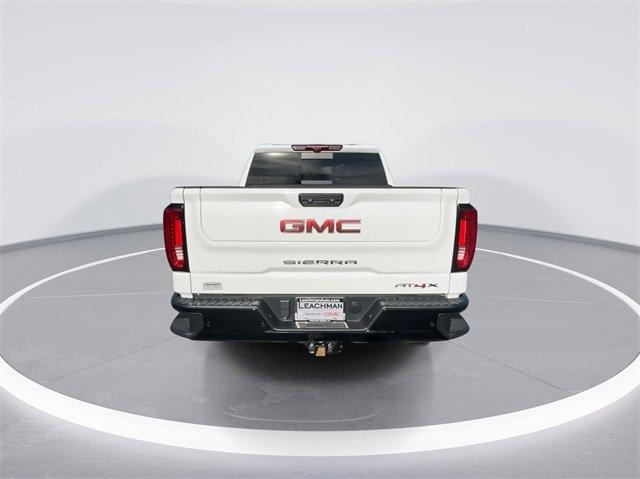 2023 GMC Sierra 1500 Vehicle Photo in BOWLING GREEN, KY 42104-4102