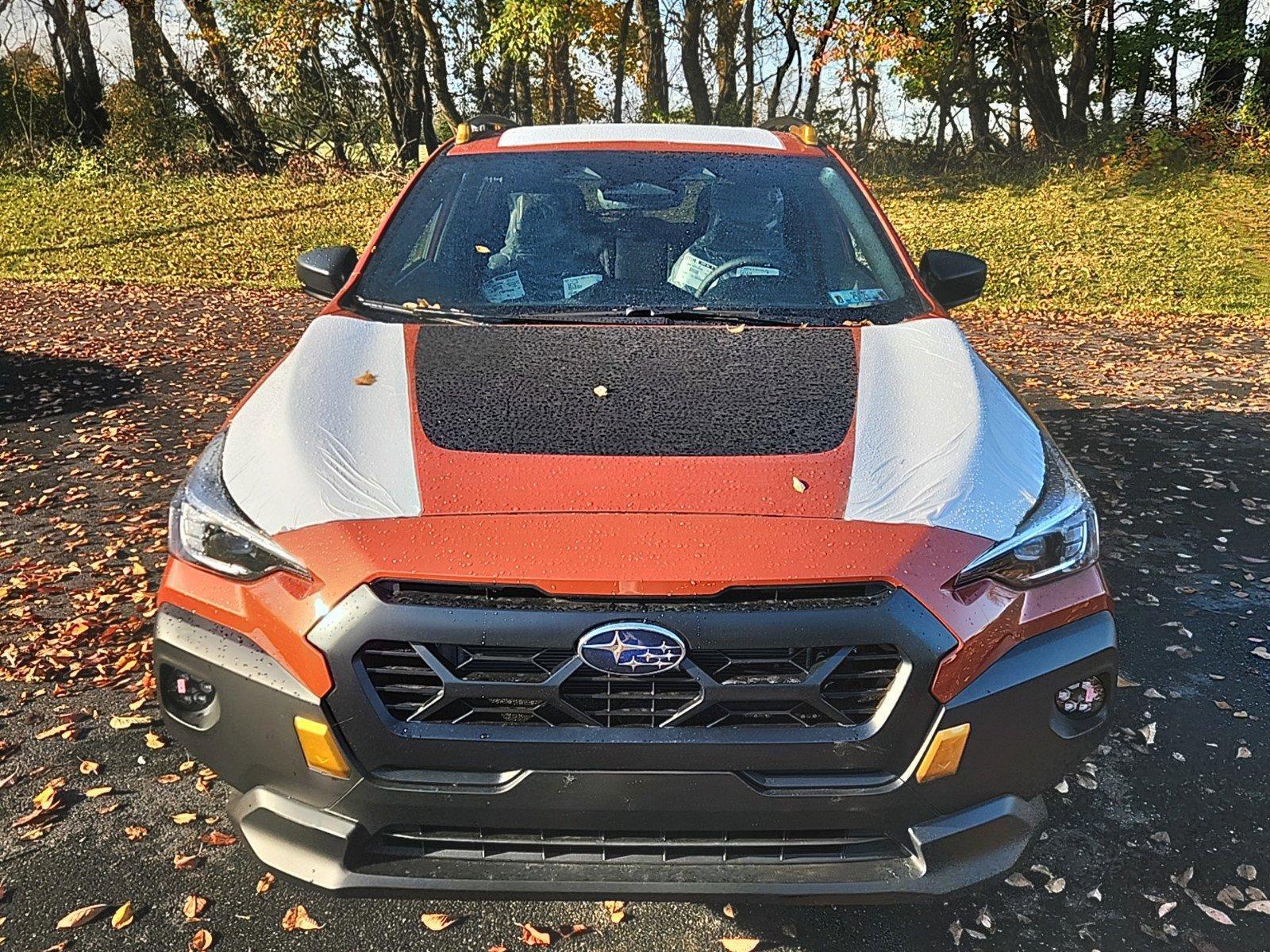 2025 Subaru Crosstrek Vehicle Photo in Mechanicsburg, PA 17050