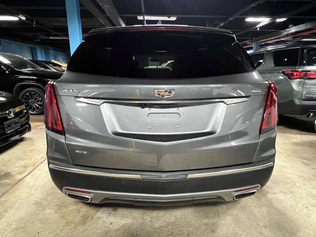 2022 Cadillac XT5 Vehicle Photo in Roslyn, NY 11576