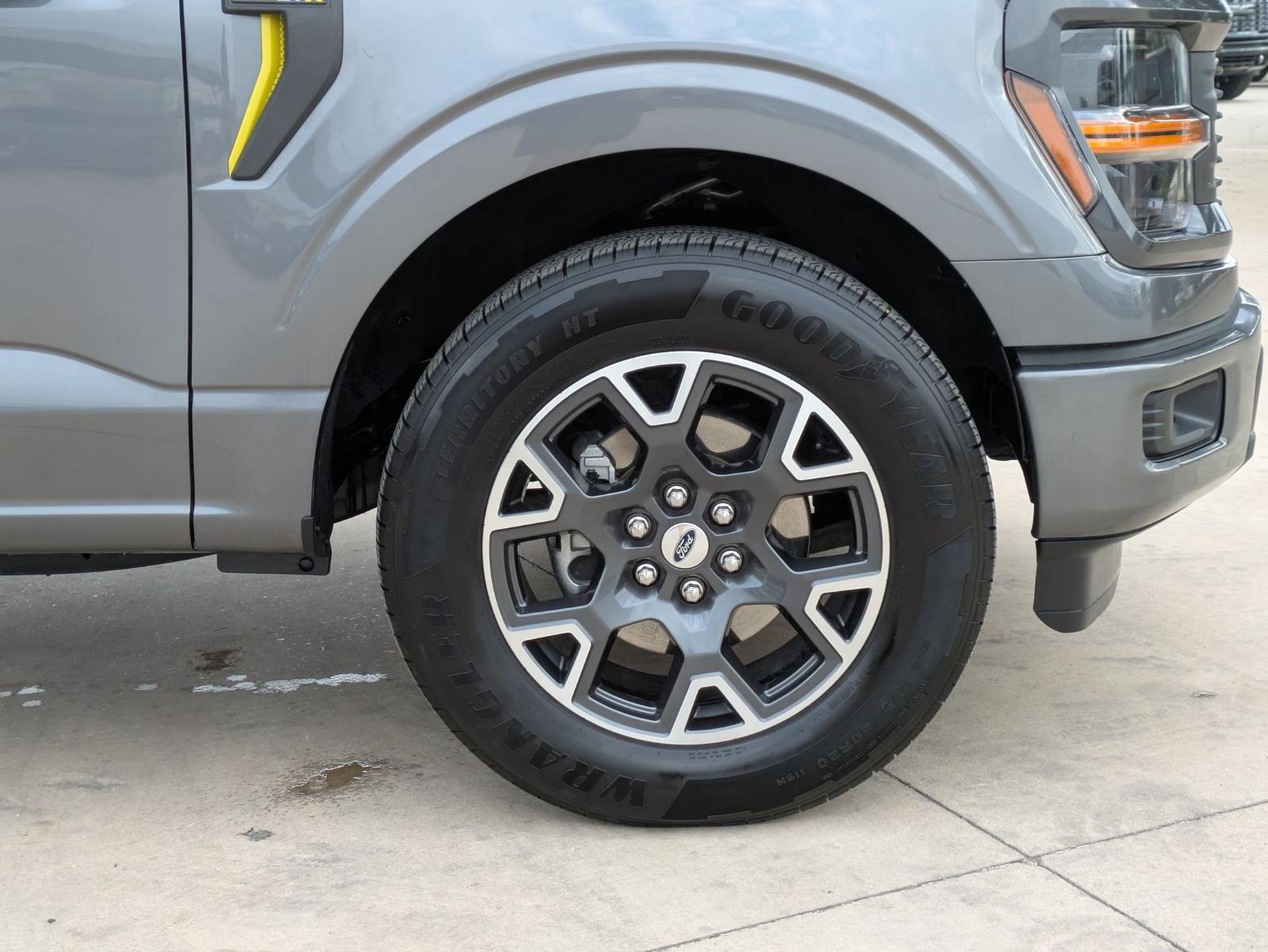 2024 Ford F-150 Vehicle Photo in SELMA, TX 78154-1460