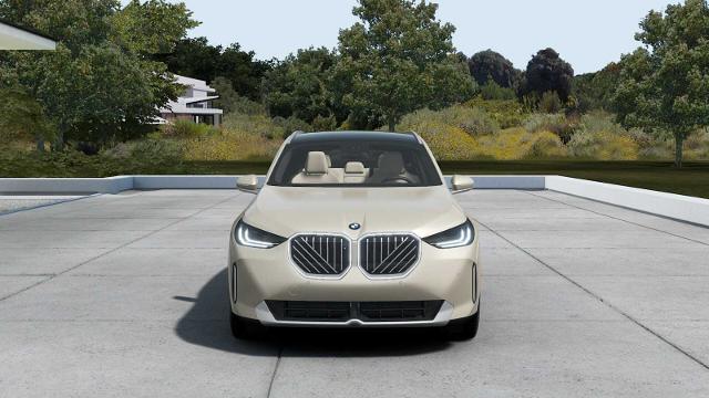 2025 BMW X3 30 xDrive Vehicle Photo in GRAPEVINE, TX 76051
