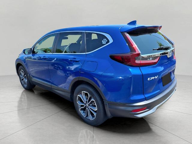 2020 Honda CR-V Vehicle Photo in Oshkosh, WI 54904