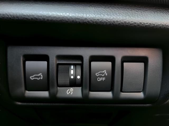 2025 Subaru Outback Vehicle Photo in Green Bay, WI 54304