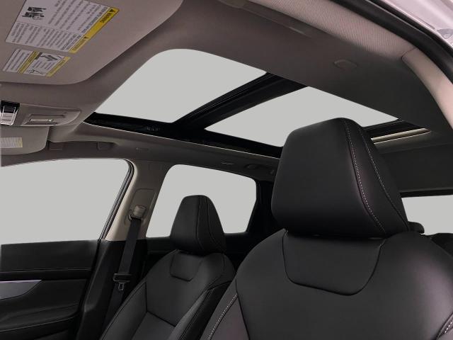 2025 Nissan Murano Vehicle Photo in Appleton, WI 54913