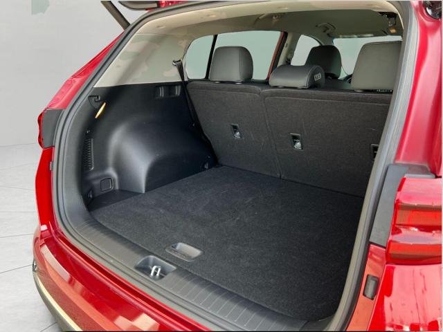 2020 Kia Sportage Vehicle Photo in Appleton, WI 54914