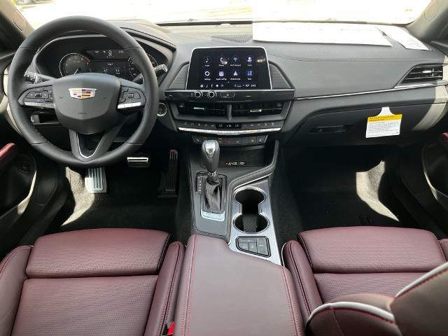 2025 Cadillac CT4 Vehicle Photo in Tampa, FL 33612