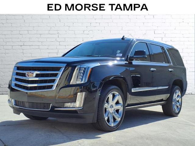 2019 Cadillac Escalade Vehicle Photo in TAMPA, FL 33612-3404