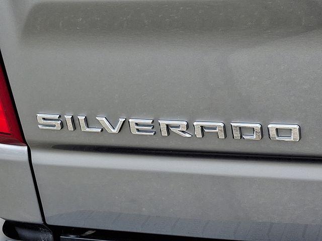 2023 Chevrolet Silverado 1500 Vehicle Photo in DANBURY, CT 06810-5034