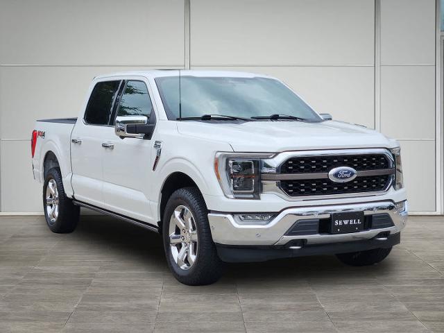 2021 Ford F-150 Vehicle Photo in HOUSTON, TX 77079