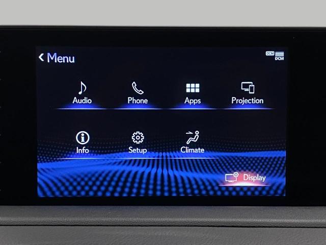 2021 Lexus RX 350 Vehicle Photo in Appleton, WI 54913