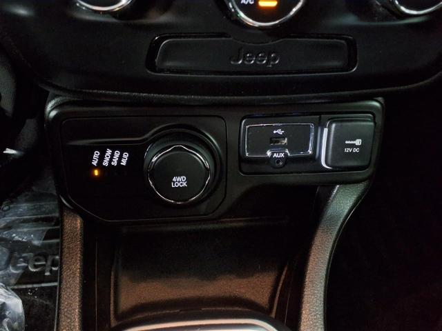 2018 Jeep Renegade Vehicle Photo in Oshkosh, WI 54904