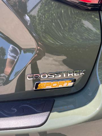 2025 Subaru Crosstrek Vehicle Photo in DALLAS, TX 75209