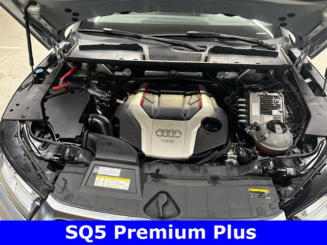 2019 Audi SQ5 Vehicle Photo in EVERETT, WA 98203-5662