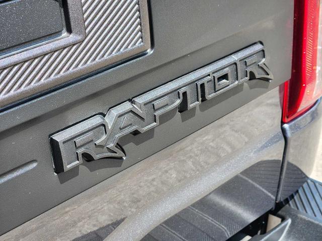 2025 Ford F-150 Vehicle Photo in DENTON, TX 76210-9321