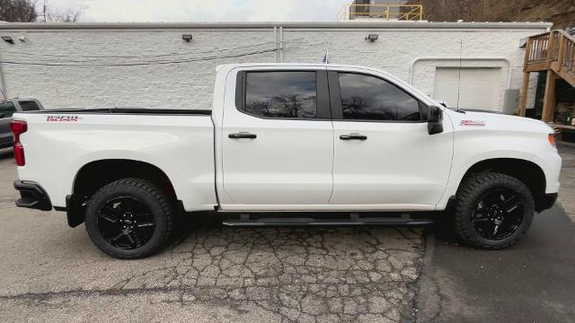 2022 Chevrolet Silverado 1500 Vehicle Photo in PITTSBURGH, PA 15226-1209