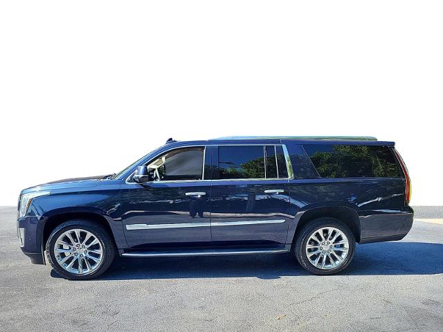 2020 Cadillac Escalade ESV Vehicle Photo in POMPANO BEACH, FL 33064-7091