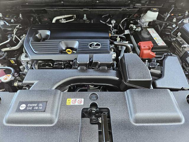 2024 Lexus NX 250 Vehicle Photo in FORT WORTH, TX 76132