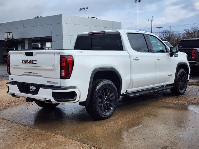 2025 GMC Sierra 1500 Vehicle Photo in PARIS, TX 75460-2116